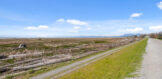 61 - 3031 Williams Rd (35)